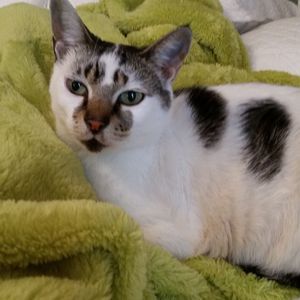 Meet your Posher, Penny